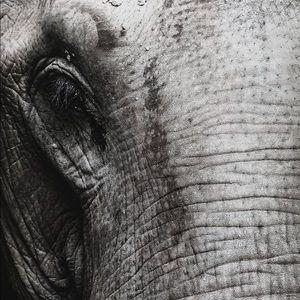 Meet your Posher, Journey